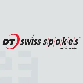 Dt swiss spokes